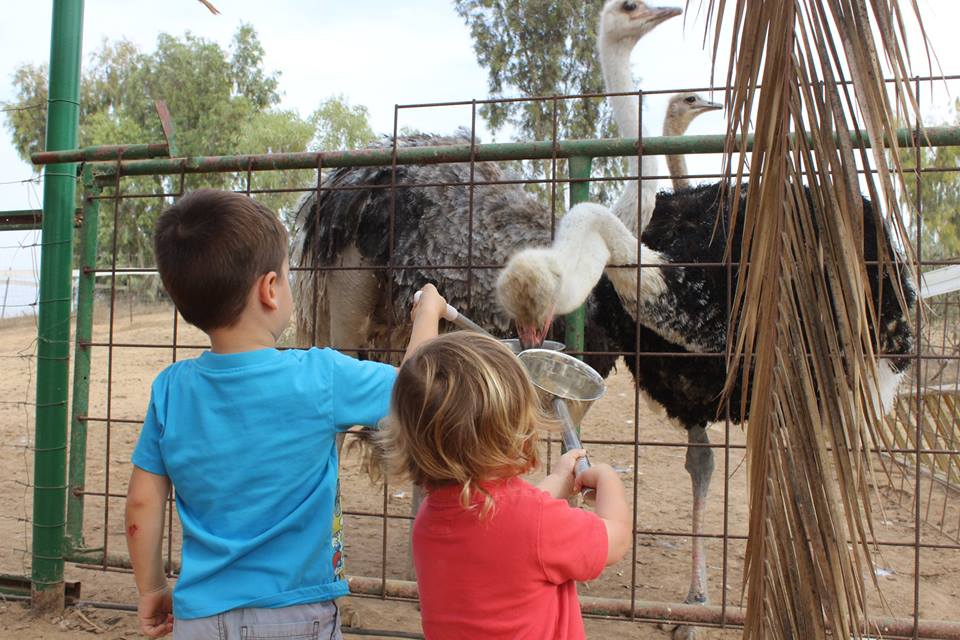 חוות אל היען- פייסבוק