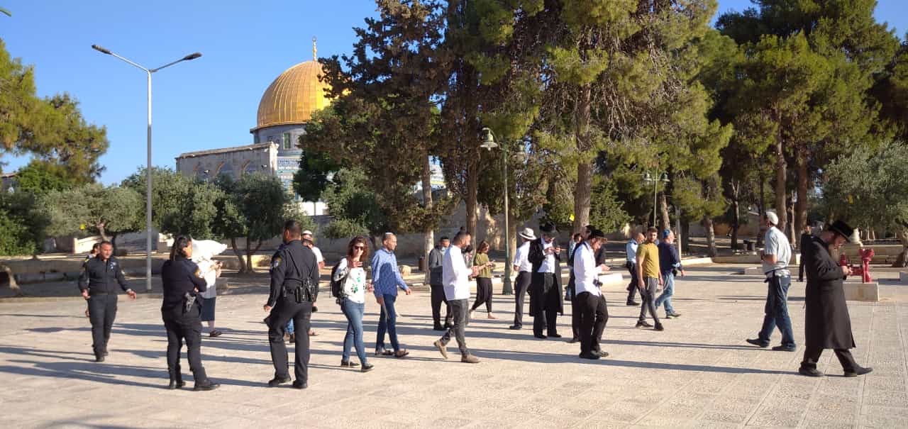 קרדיט: מעיין ברבי, 'בידינו-הקרן למורשת הר הבית'