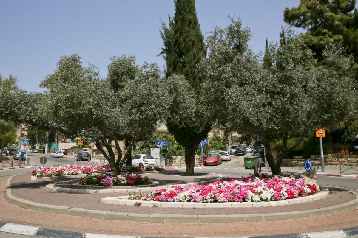 צילום: ארנון בוסאני 