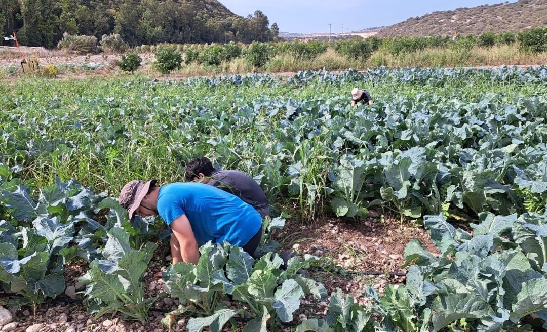 צילום: דוברות עיריית ירושלים 