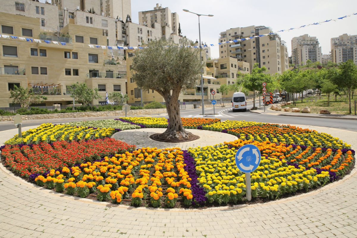 צילום: ארנון בוסאני 