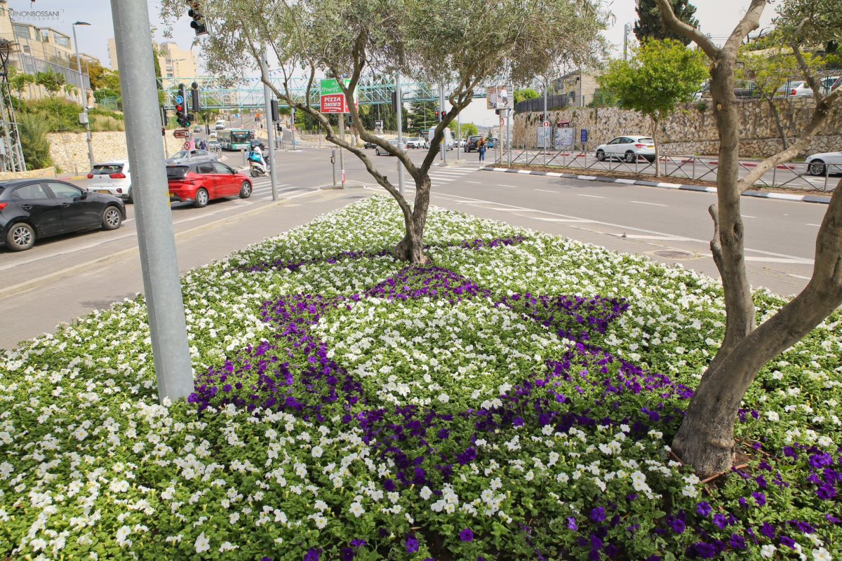 צילום: ארנון בוסאני 