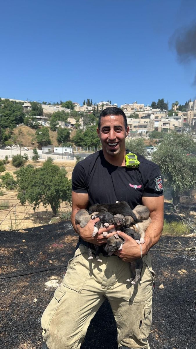 צילום: תיעוד מבצעי כב&quot;ה מחוז ירושלים