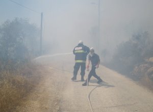 צילום: ארכיון